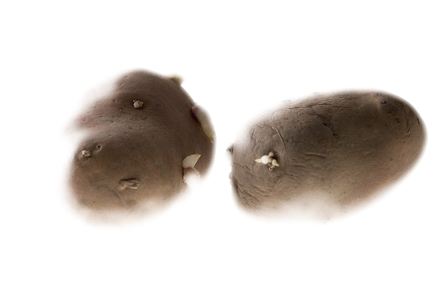 Podrška iz Beograda