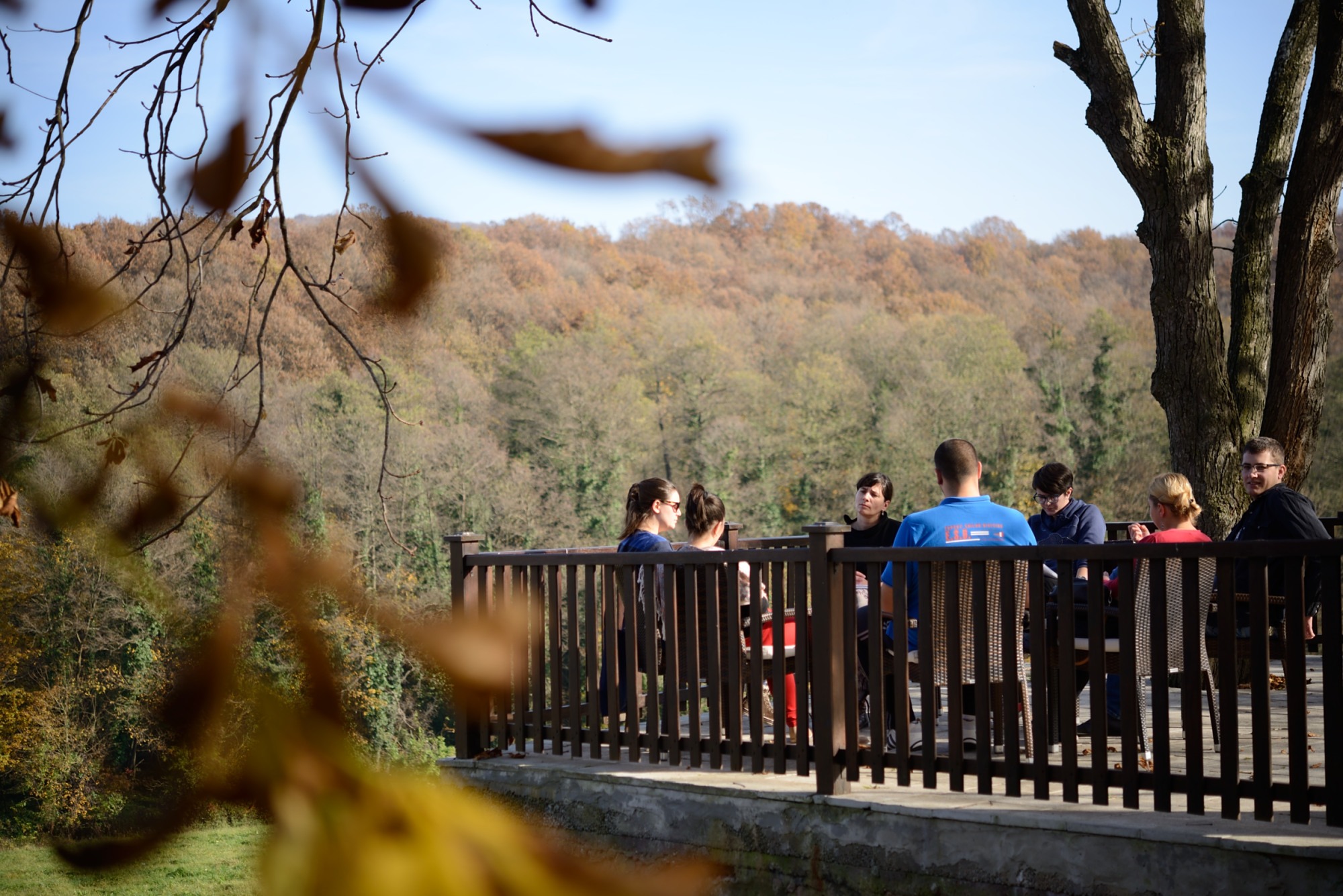 IDEAS, ACTIONS, SUPPORT – or Report from the Fourth and Final Phase of Training for Trainers, Andrevlje, 7-13 November 2014