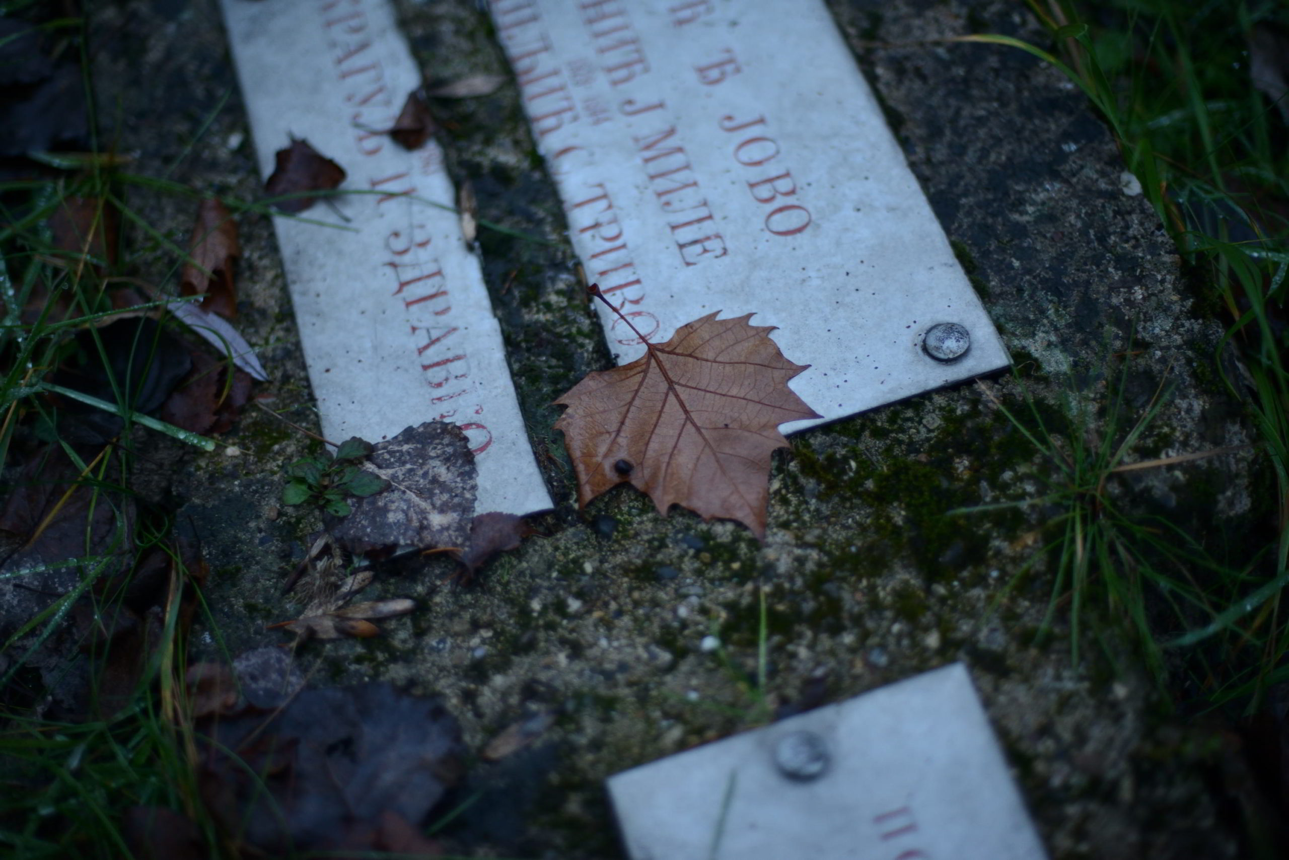 Poziv za prijave na studijski put “Sadašnjost naše prošlosti”