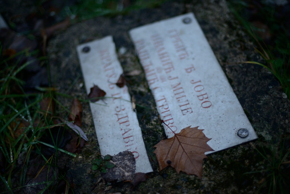 20151126_NNV_36531