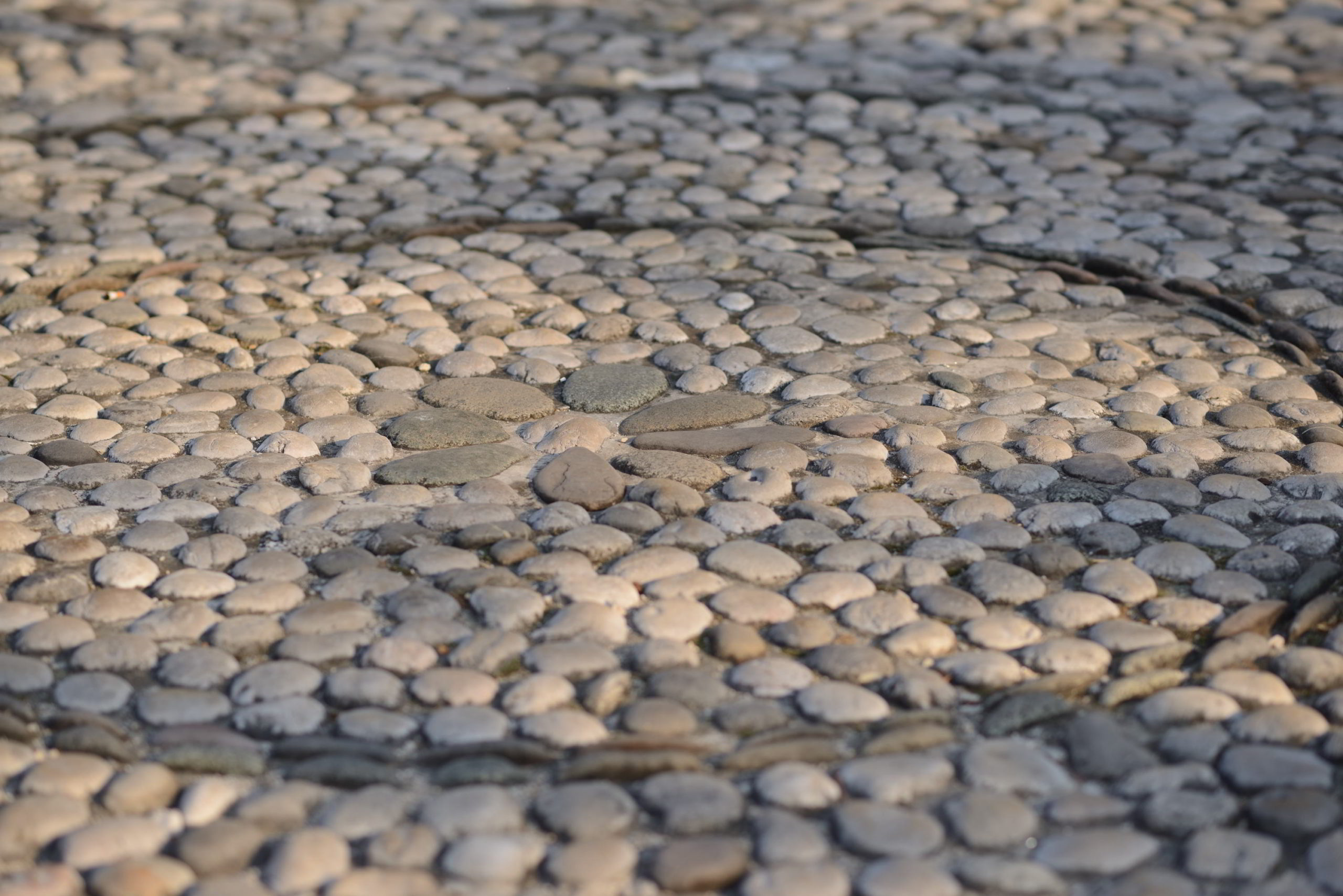 Documentation: South Asia – Western Balkan Peacebuilding Exchange