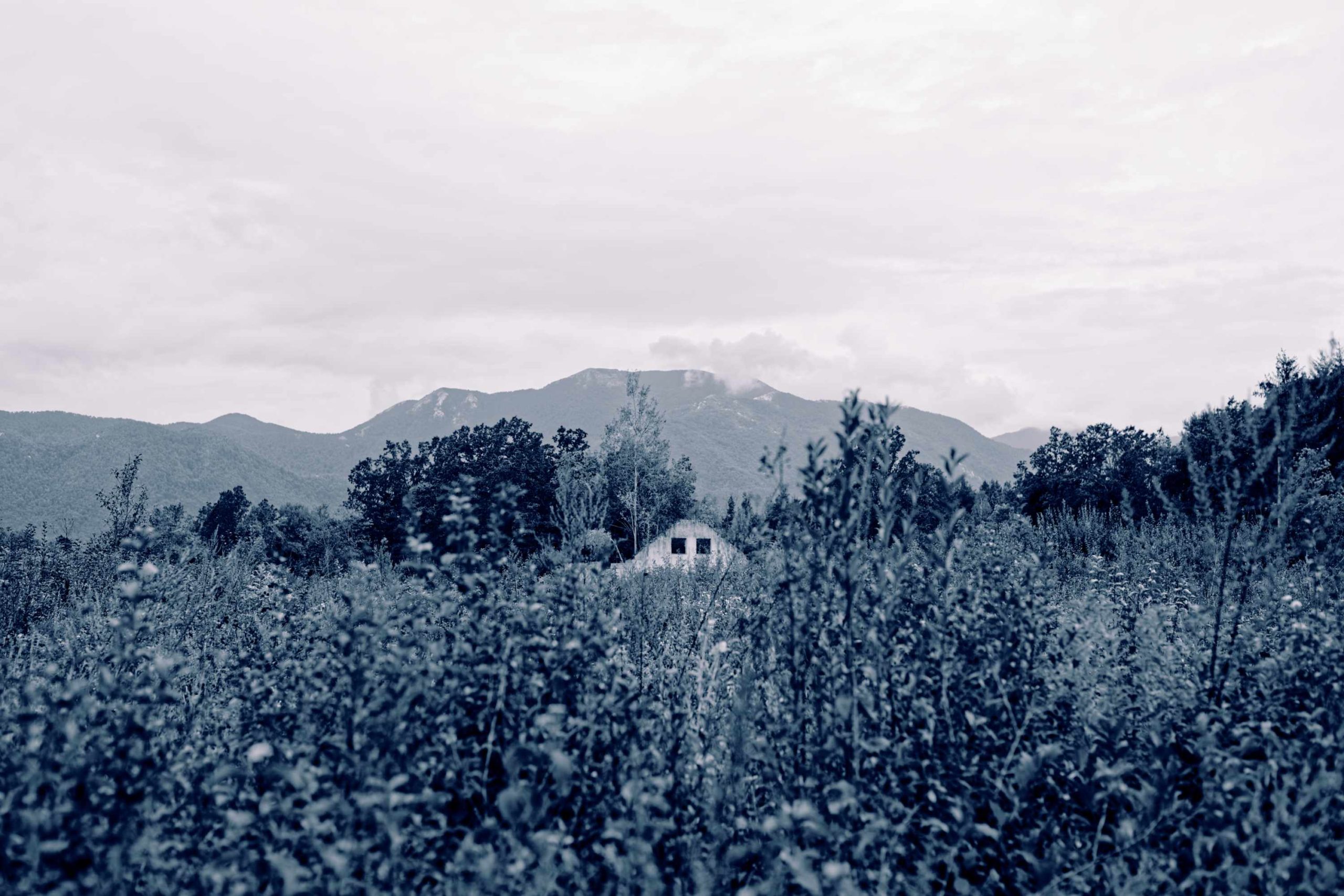 The Green Grass Covers the Past