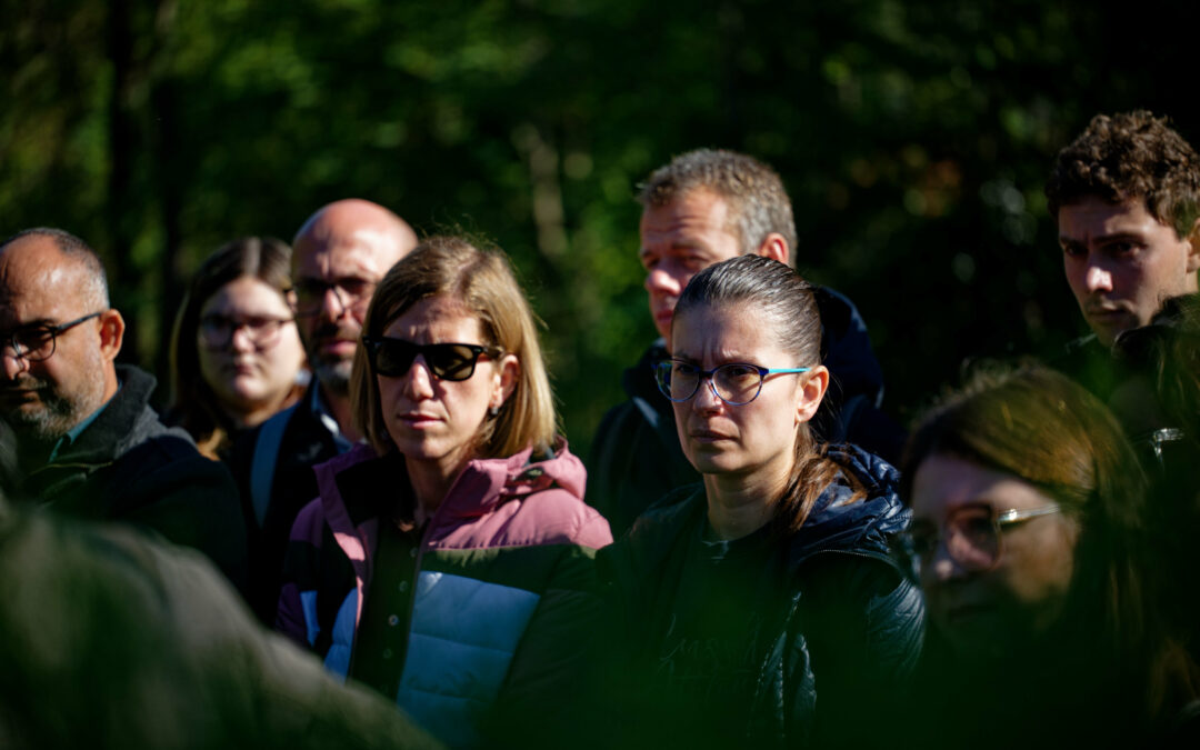 The final step? – Training of Trainers in Peacebuilding