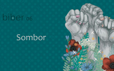 Biber u Somboru 23.10.2025.