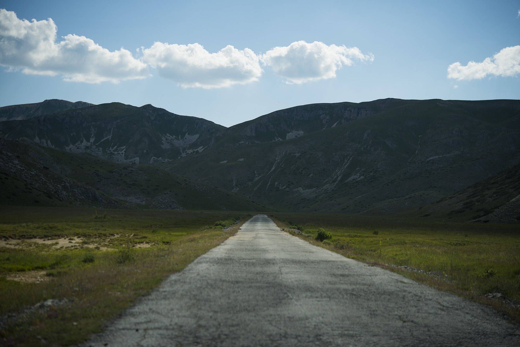 In-depth Training for Peace Education