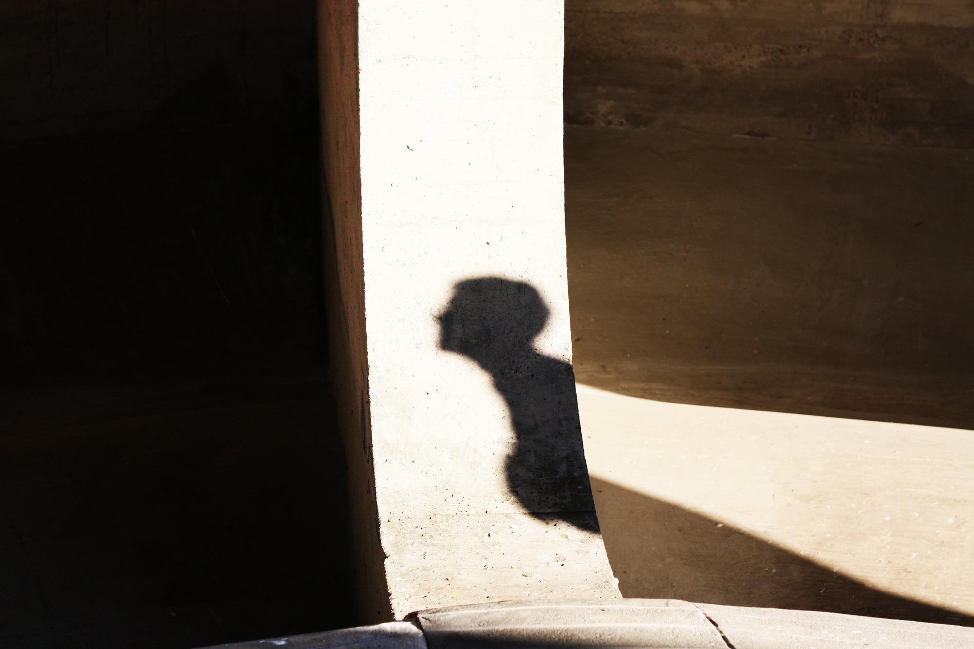 Training with Guests from Ukraine