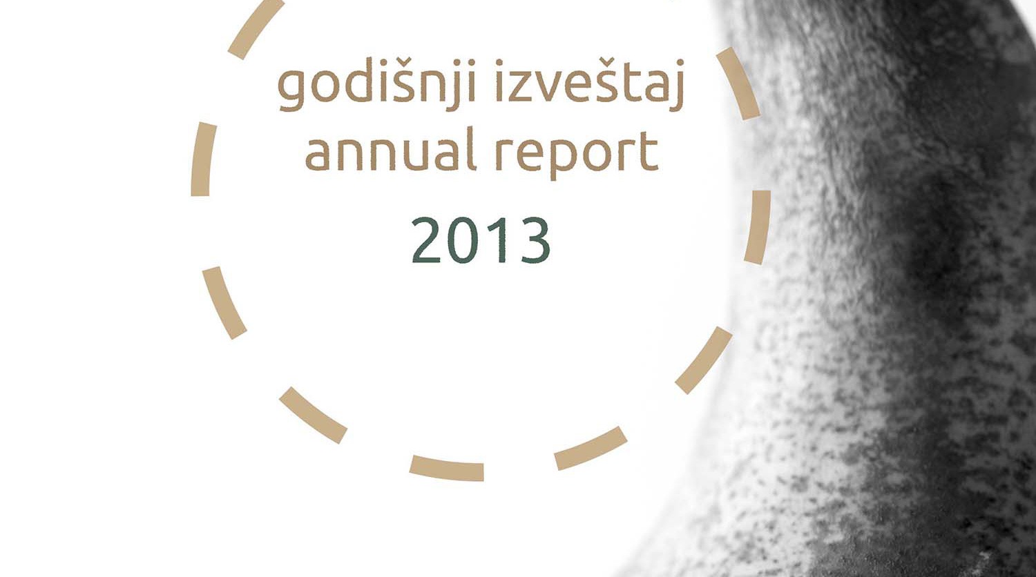 16th Annual Report