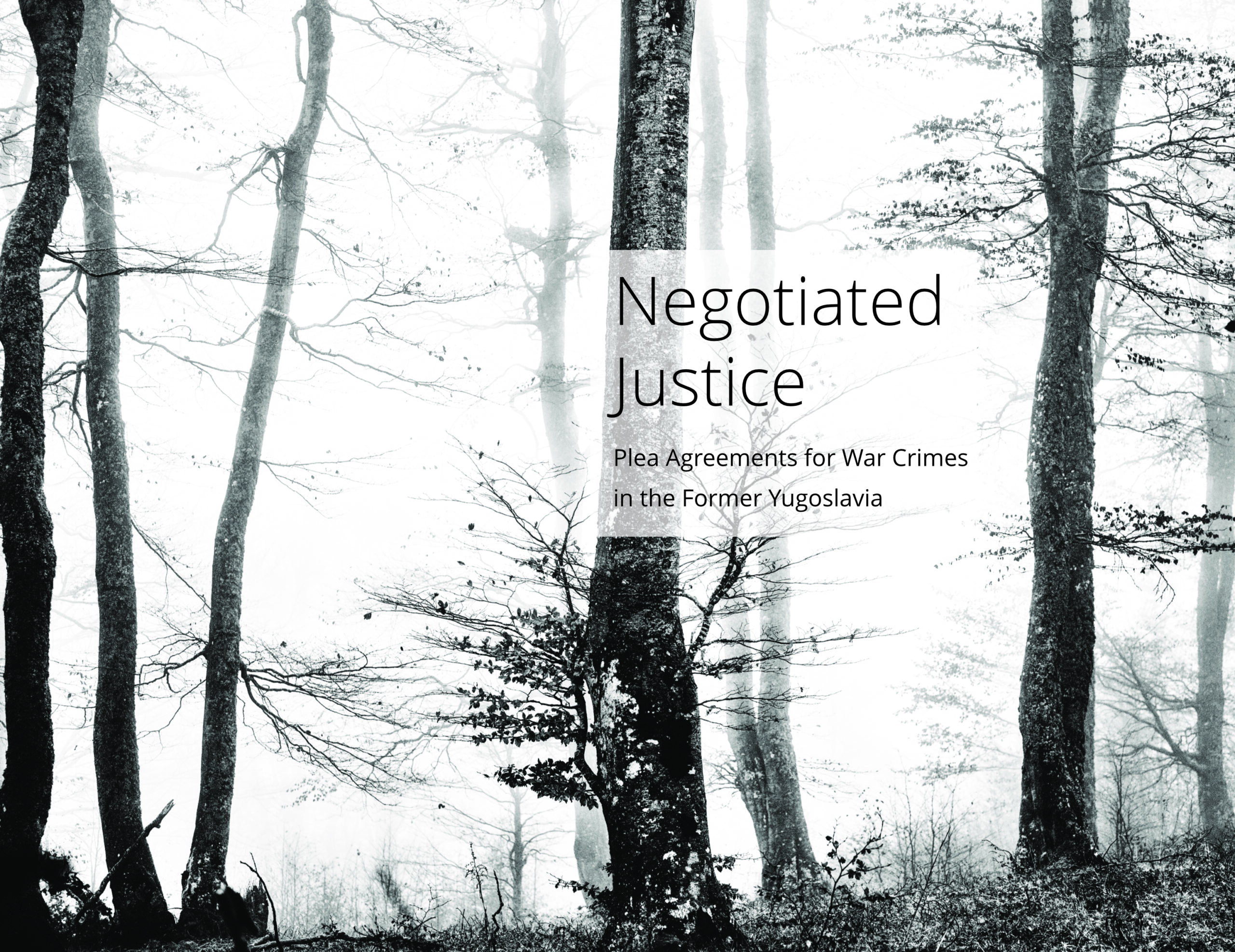 New Publication Announcement: Negotiated Justice