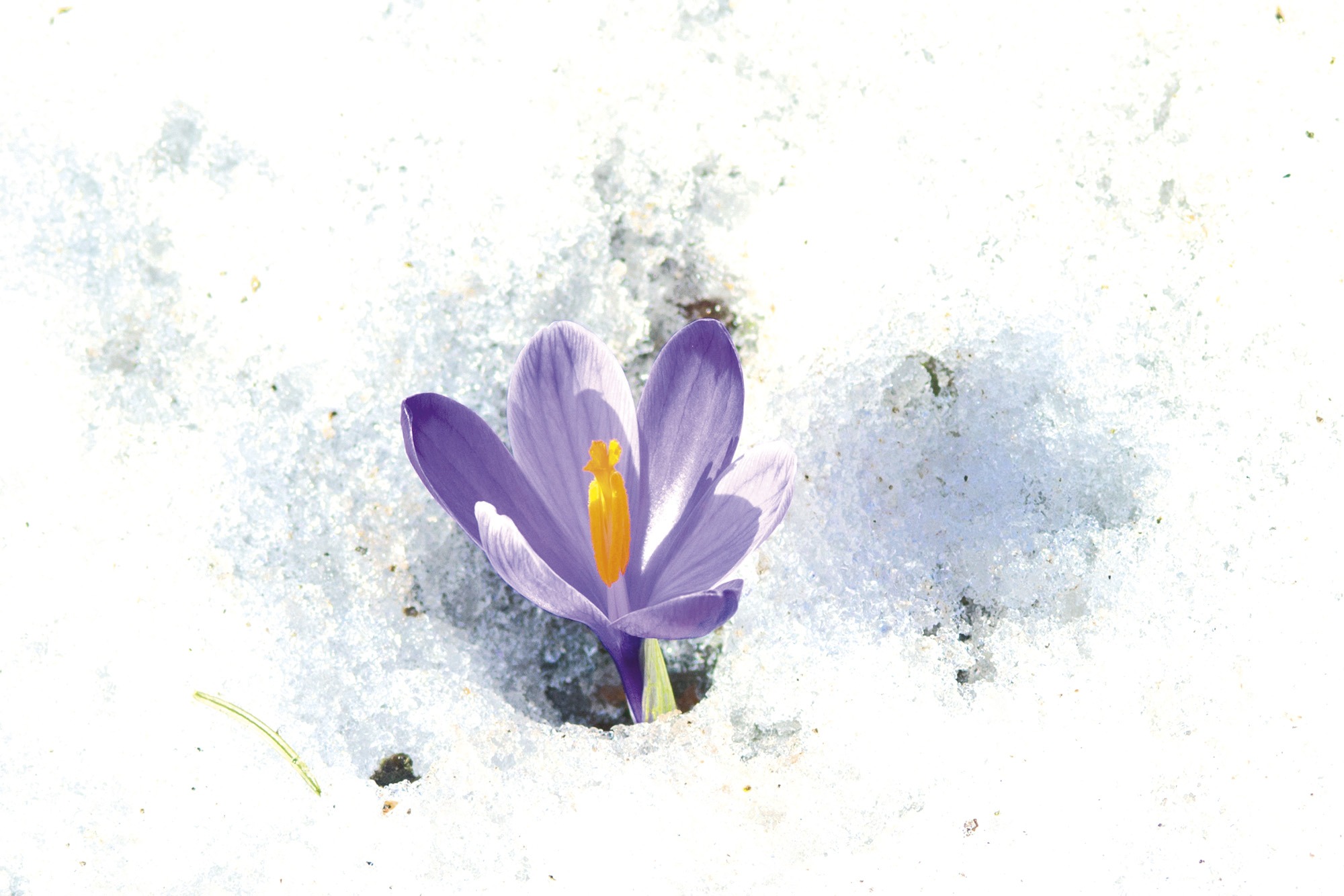 Novi priručnik: Nenasilje!