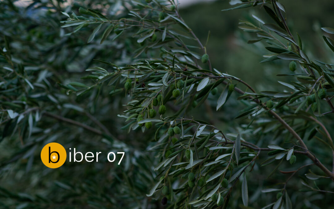 The seventh Biber Short Story Contest has been opened