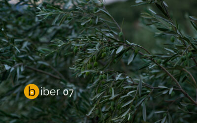 Raspisan je sedmi konkurs za kratku priču Biber posvećen studentskoj borbi