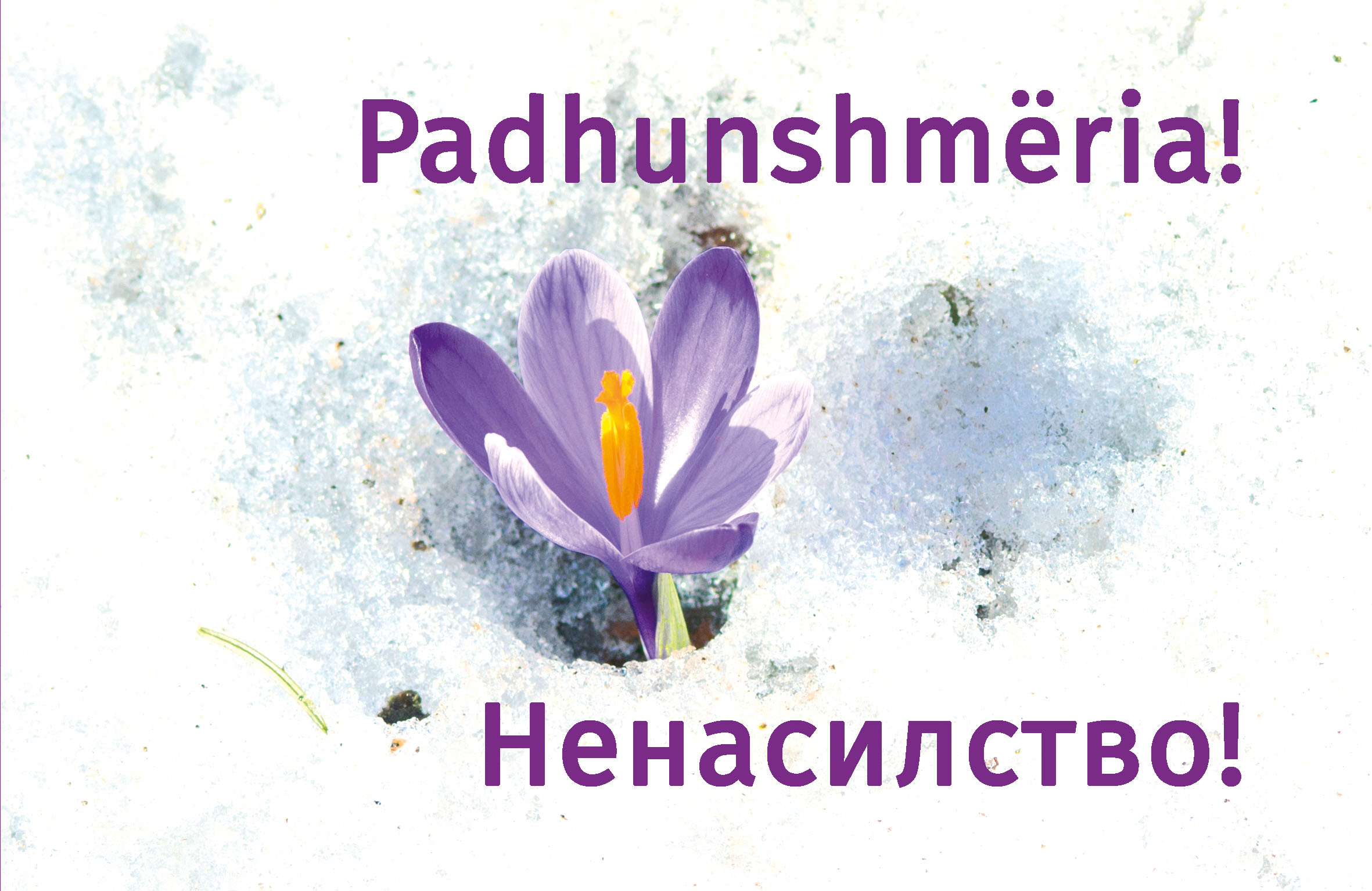 Priručnik “Nenasilje!” objavljen i na makedonskom i albanskom jeziku